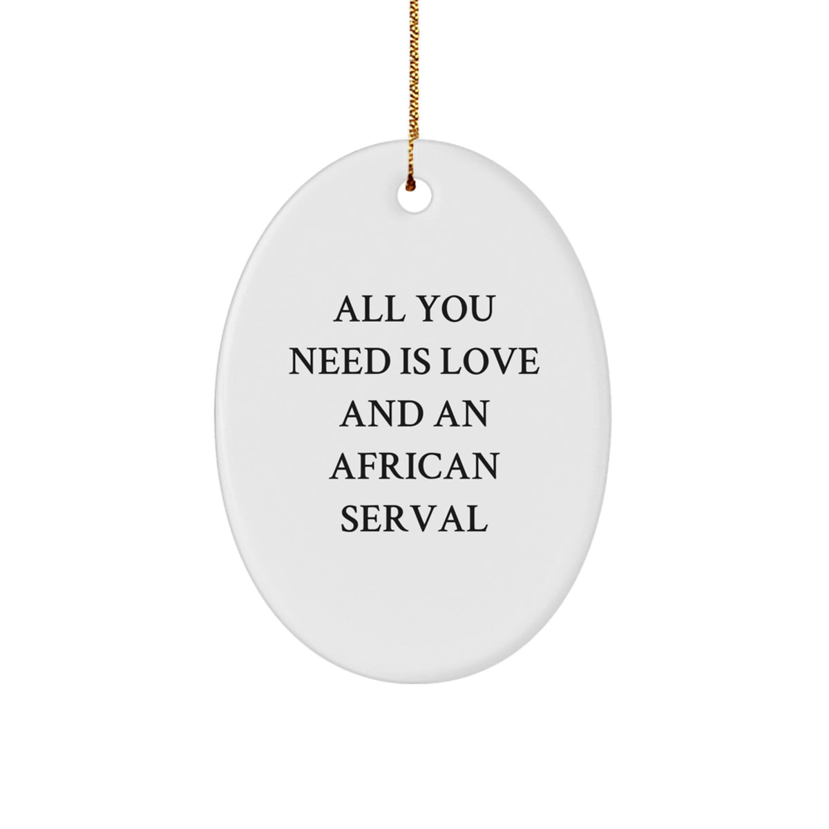 Funny African Serval Cat Oval Ornament Gifts from Friends to Family, African Serval Cat Lovers Christmas Unique Gifts - Image 1