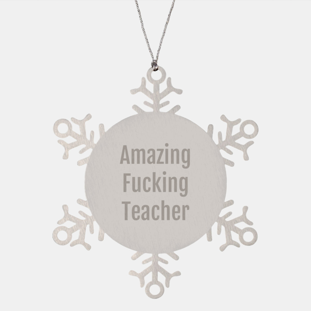 Funny Teacher Gifts from Men to Teacher Friends - Snowflake Ornament for Christmas Unique Gifts - Image 1