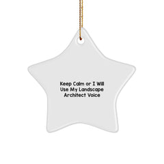 Funny Landscape Architect Star Ornament Gifts from Friends and Family for Christmas Unique Decor - Image 1