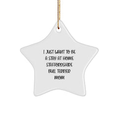 Funny Staffordshire Bull Terrier Dog Gifts for Christmas, Mom's Quote Star Ornament, Gifts from Family to Staffordshire Bull Terrier Dog Lover - Image 1