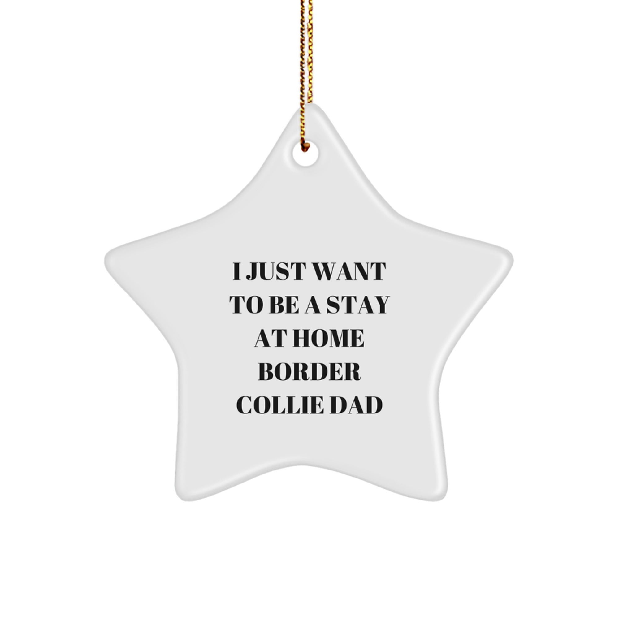 Funny Border Collie Dog Gifts from Men for Christmas Unique Star Ornament Quotes, I Just Want To Be A Stay At Home Border Collie Dad - Image 1