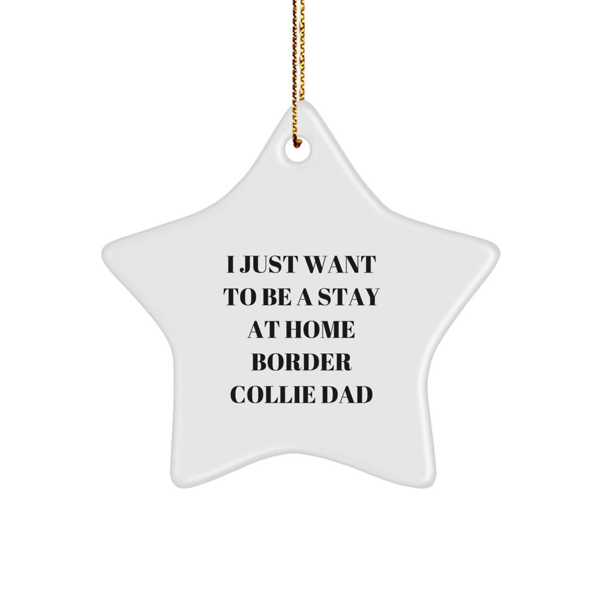 Funny Border Collie Dog Gifts from Men for Christmas Unique Star Ornament Quotes, I Just Want To Be A Stay At Home Border Collie Dad - Image 1