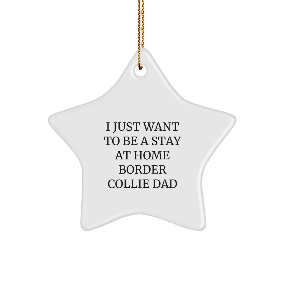 Funny Border Collie Dad Star Ornament Gifts for Christmas, 'I Just Want To Be A Stay At Home Border Collie Dad', Unique Gifts from Family - Image 1