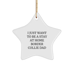 Funny Border Collie Dad Star Ornament Gifts for Christmas, 'I Just Want To Be A Stay At Home Border Collie Dad', Unique Gifts from Family - Image 1