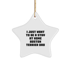 Funny Boston Terrier Dad Gifts, I Just Want To Be A Stay At Home Boston Terrier Dad Star Ornament, Christmas Unique Gifts from Men to Family - Image 1