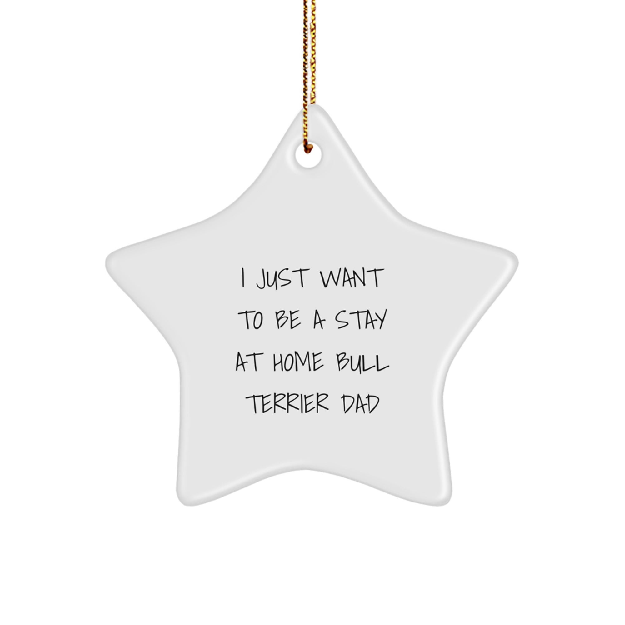 Funny Bull Terrier Dad Gifts, 'I Just Want To Be A Stay At Home Bull Terrier Dad' Star Ornament for Christmas, Gifts from Men to Bull Terrier Dog Lovers - Image 1