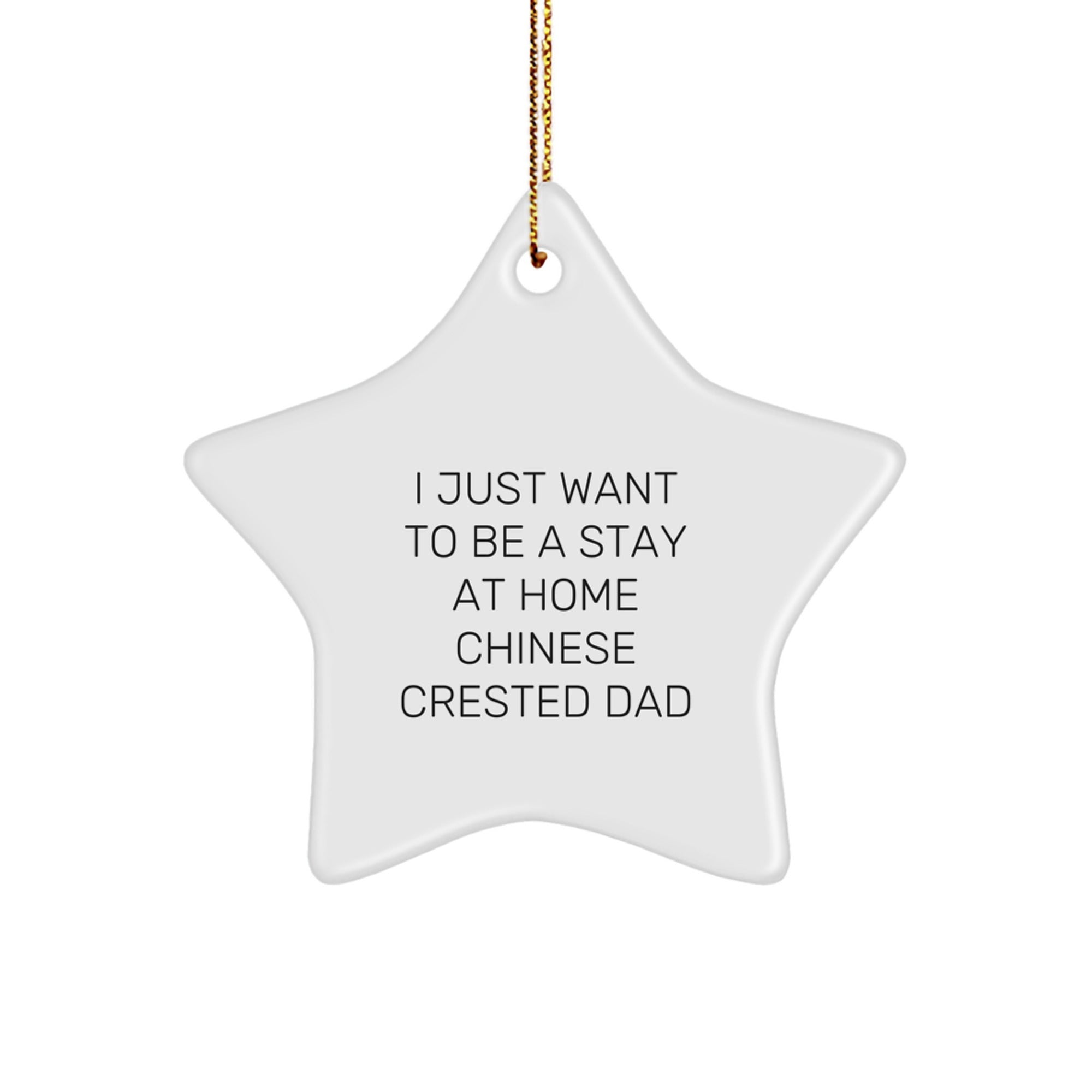 Chinese Crested Dog Dad Gifts, Funny Star Ornament for Christmas, 'I Just Want To Be A Stay At Home Chinese Crested Dad', Gifts from Men to Family - Image 1