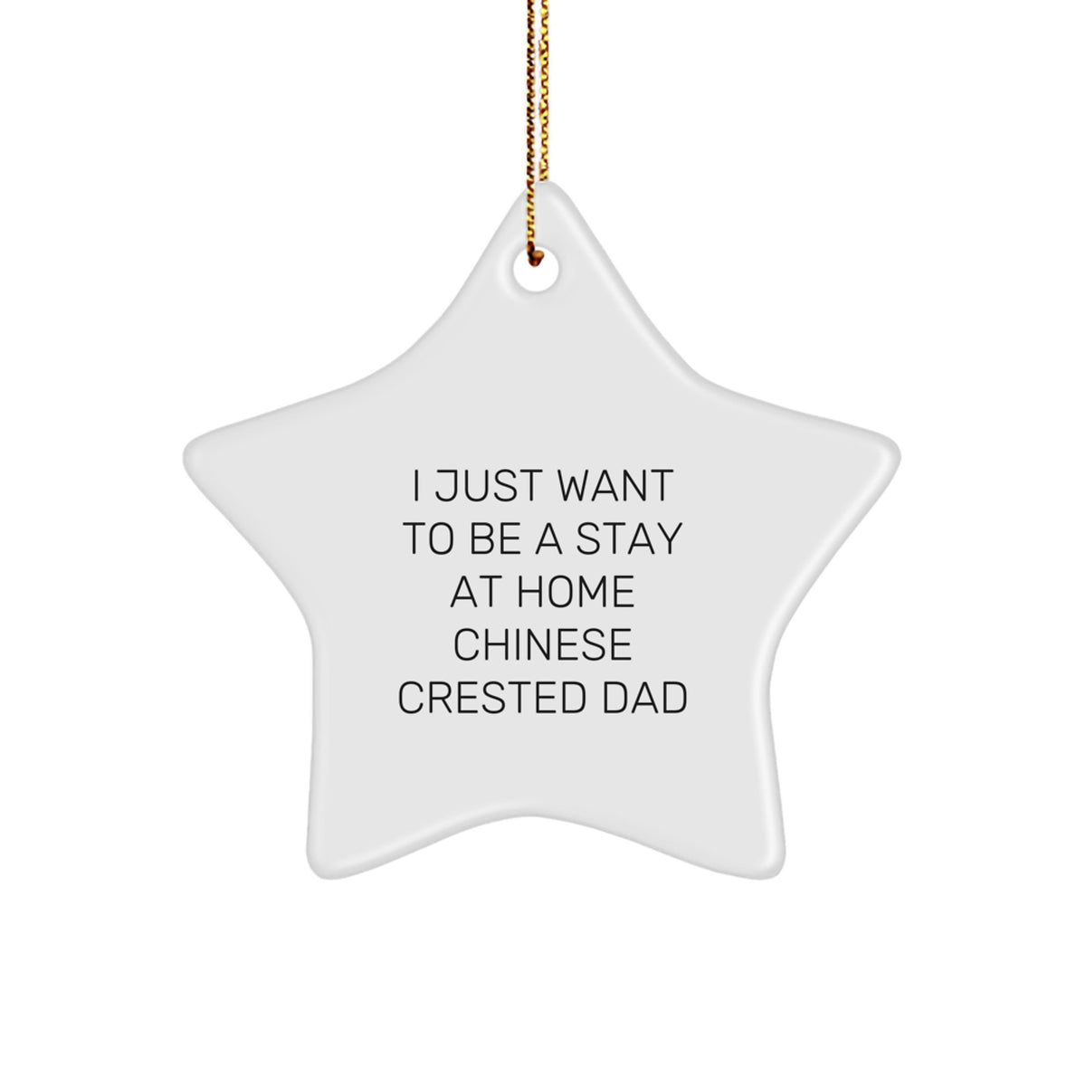 Chinese Crested Dog Dad Gifts, Funny Star Ornament for Christmas, 'I Just Want To Be A Stay At Home Chinese Crested Dad', Gifts from Men to Family - Image 1