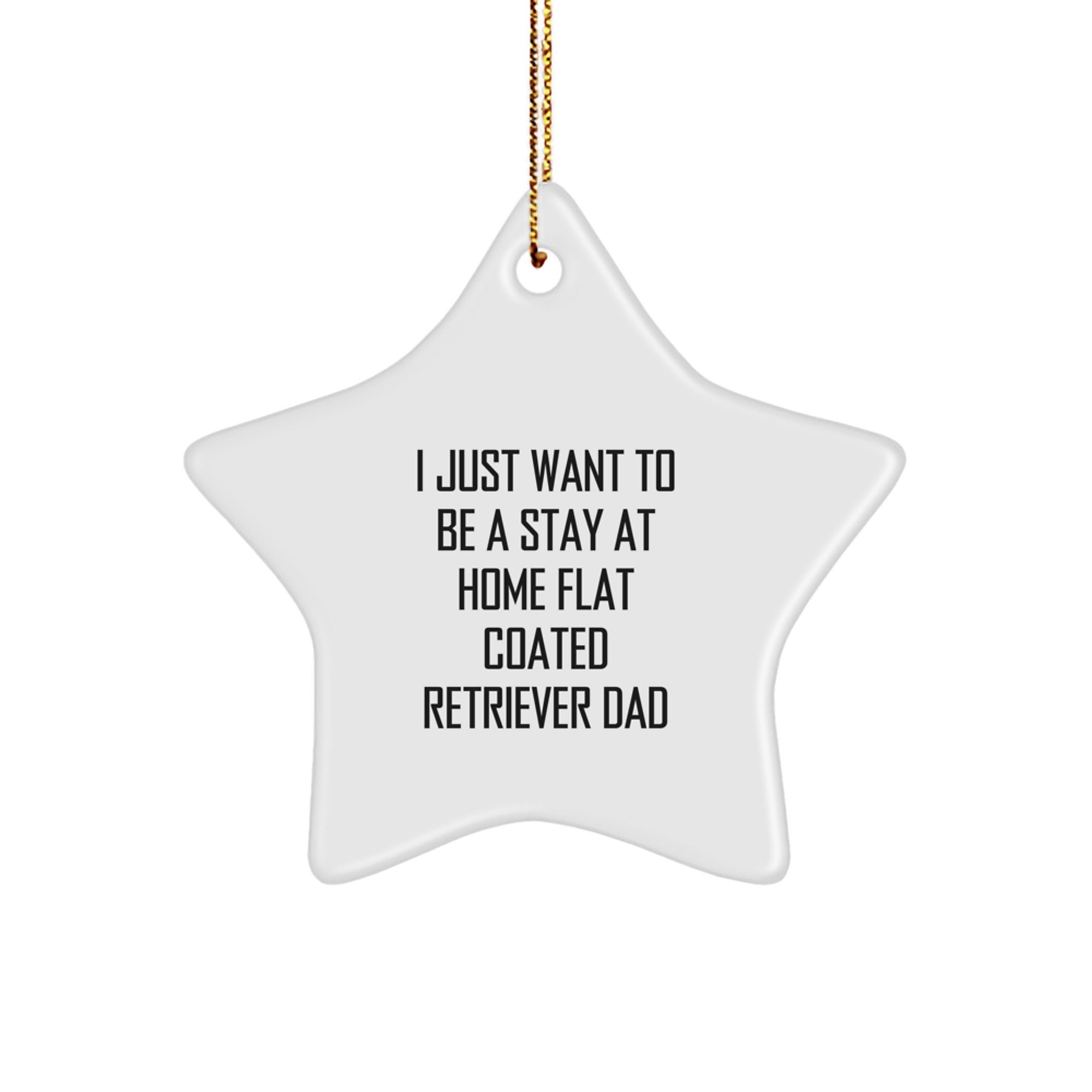 Funny Gifts for Flat Coated Retriever Dog Lovers - Star Ornament with I Just Want To Be A Stay At Home Dad Quote, Christmas Unique Gifts from Family - Image 1
