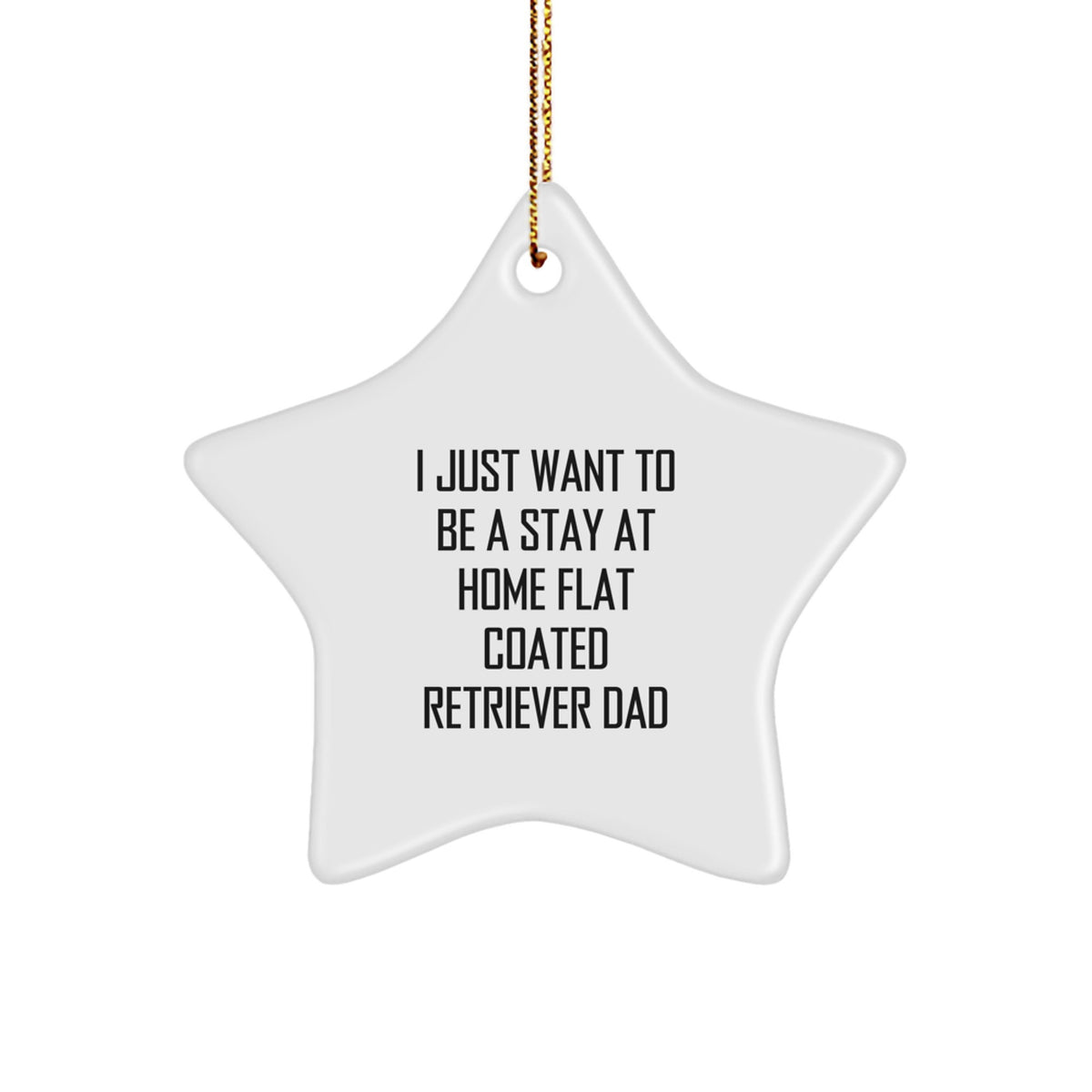 Funny Gifts for Flat Coated Retriever Dog Lovers - Star Ornament with I Just Want To Be A Stay At Home Dad Quote, Christmas Unique Gifts from Family - Image 1