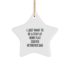 Funny Gifts for Flat Coated Retriever Dog Lovers - Star Ornament with I Just Want To Be A Stay At Home Dad Quote, Christmas Unique Gifts from Family - Image 1