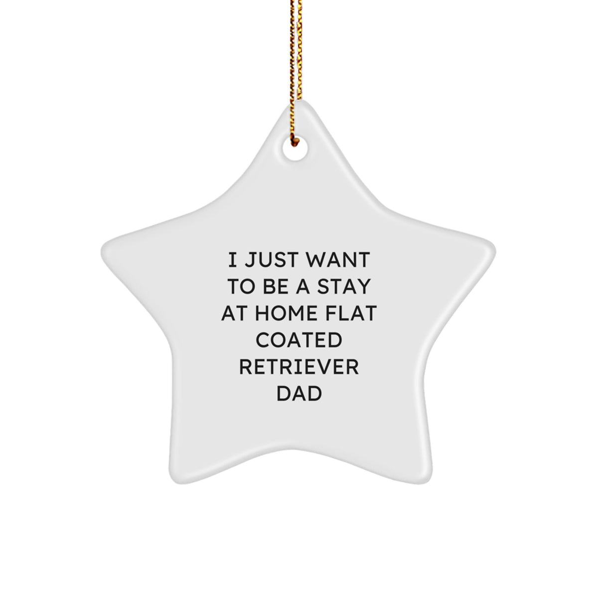 Funny Flat Coated Retriever Dog Gifts, I Just Want To Be A Stay At Home Dad Presents, Star Ornament for Men, Women, Family, Friends, Christmas Unique Gifts - Image 1