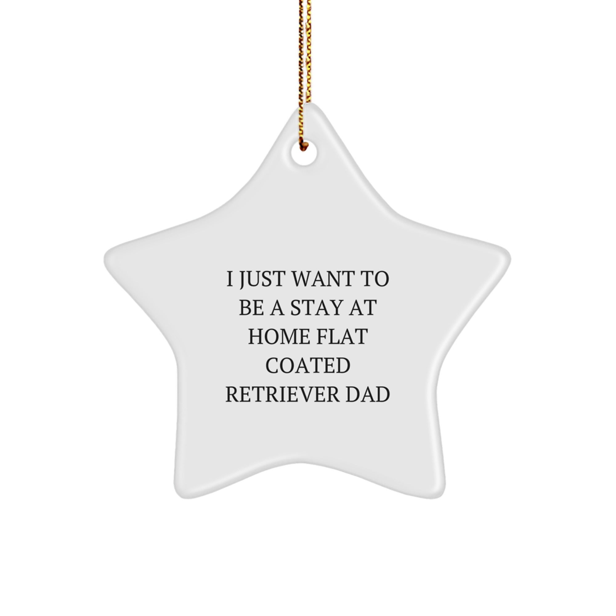 Humorous Flat Coated Retriever Dog Gifts from Dad to Daughter or Son, I Just Want To Be A Stay At Home Flat Coated Retriever Dad Star Ornament for Christmas Unique Gifts - Image 1