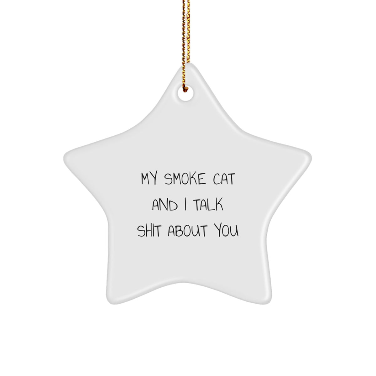 Funny Gifts from Friends for Smoke Cat Lovers Star Ornament, Cute Christmas Decorations, My Smoke Cat And I Talk Shit About You Quote - Image 1