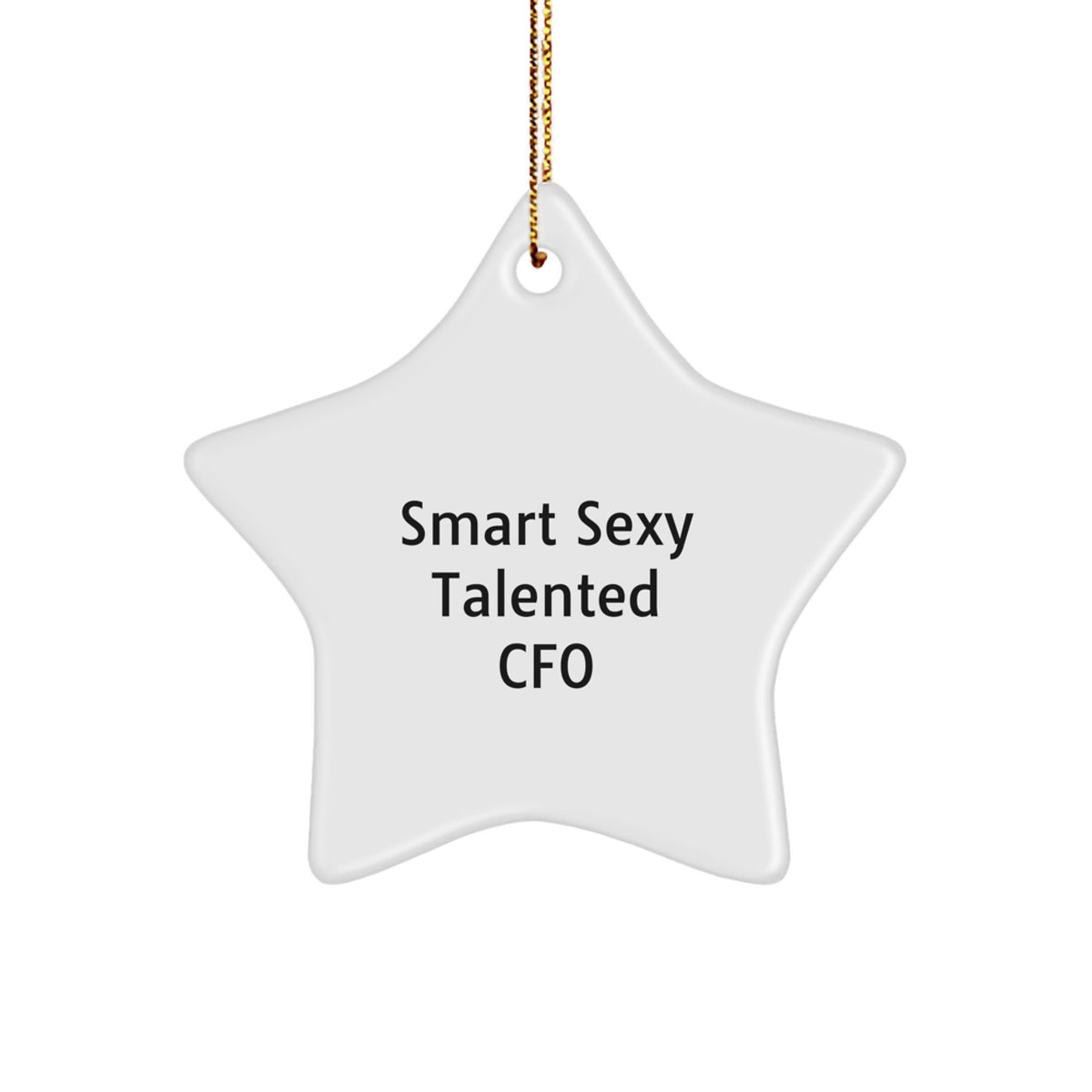 Funny CFO Gifts from Friends for Smart Sexy Talented CFOs - Star Ornament - Image 1