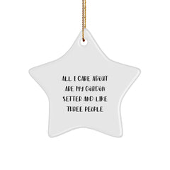Gordon Setter Dog Star Ornament Gifts from Men to Friends for Christmas Unique Decorations - 'All I Care About Are My Gordon Setter And Like Three People' - Image 1