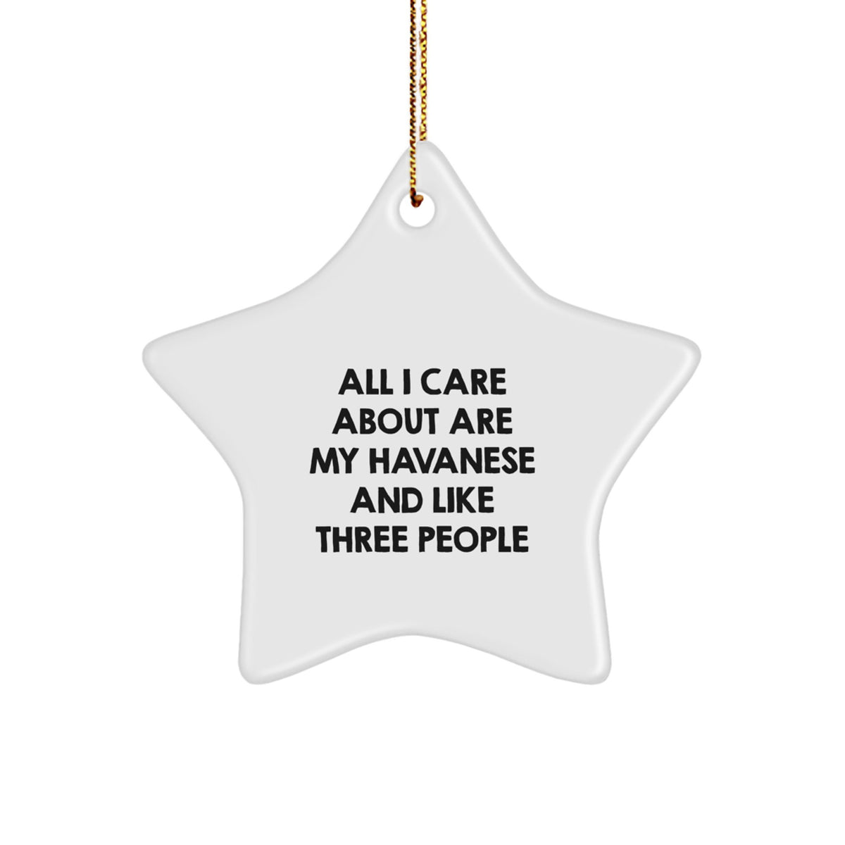 Funny Havanese Dog Owner Gifts from Men to Best Friend Havanese Dog Lover - Christmas Unique Star Ornament - Image 1