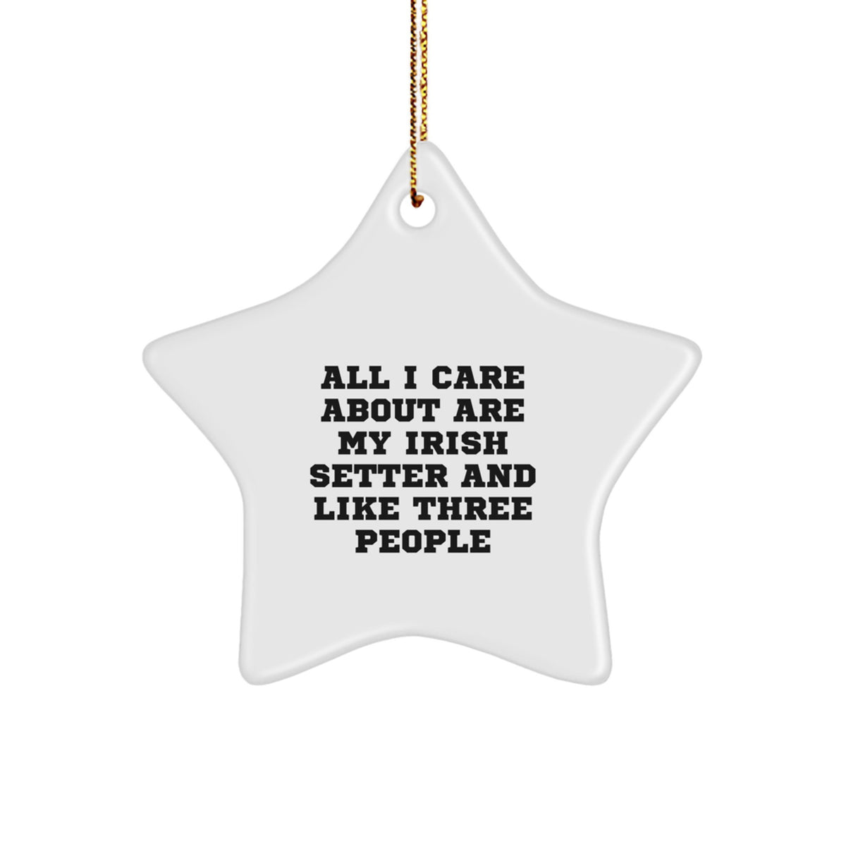 Irish Setter Dog Lover Gifts from Family - Star Ornament for Christmas Unique Presents - Image 1