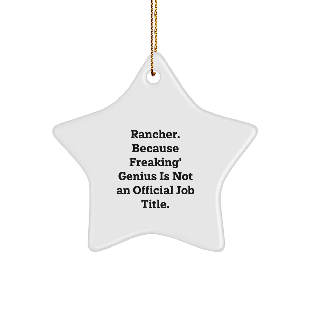 Funny Rancher Gifts from Men to Friends - Star Ornament for Christmas Unique Presents - Image 1