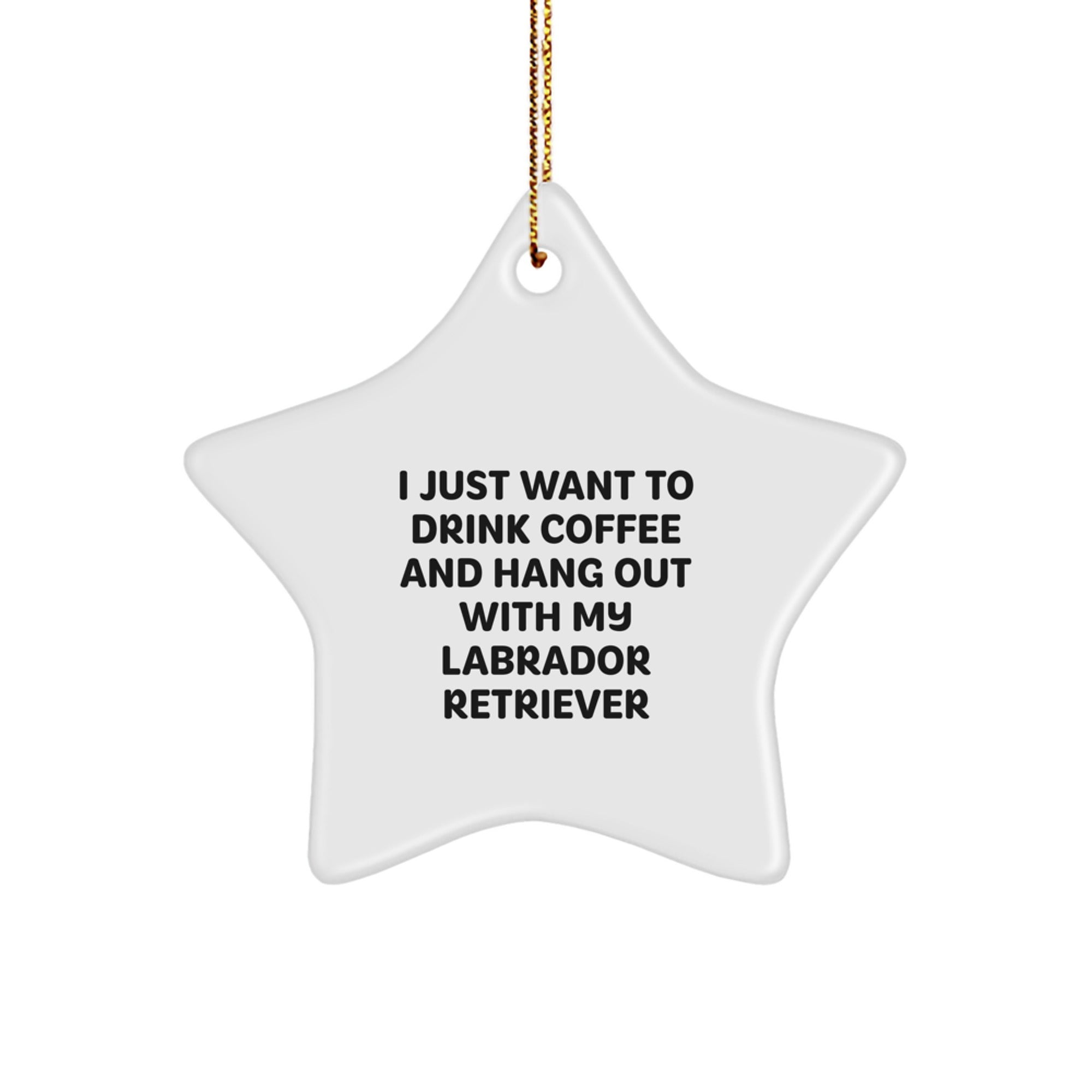 Labrador Retriever Dog Gifts, Funny Quote, Star Ornament, Gifts from Family to Friends, Christmas Unique Presents - Image 1