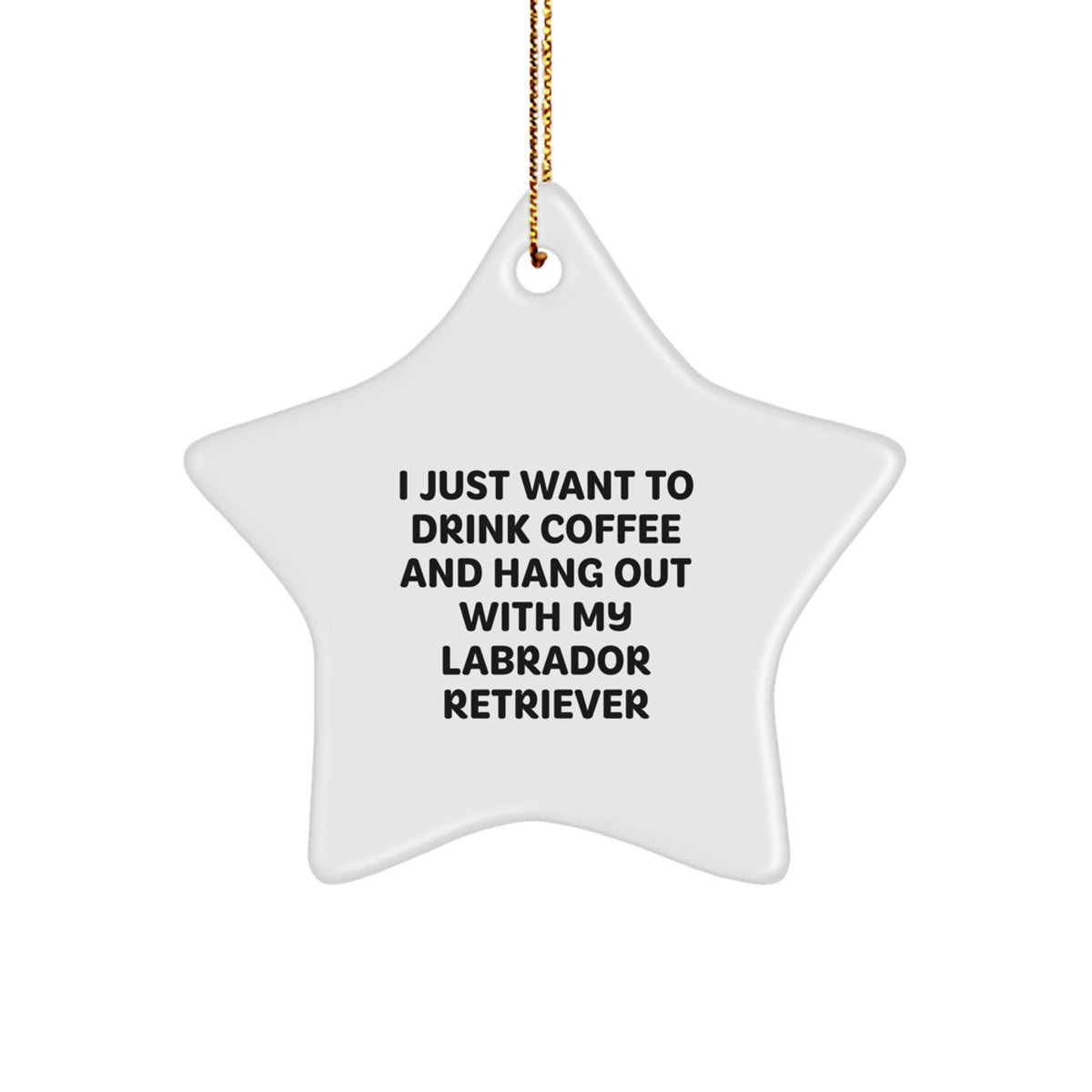 Labrador Retriever Dog Gifts, Funny Quote, Star Ornament, Gifts from Family to Friends, Christmas Unique Presents - Image 1