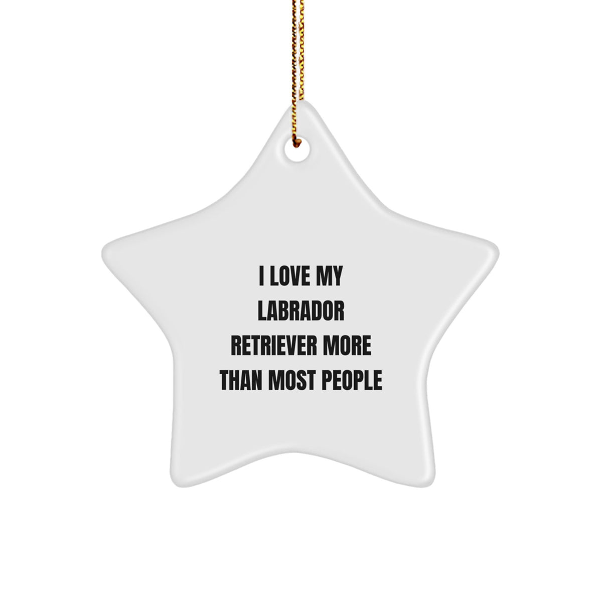 Funny Labrador Retriever Dog Star Ornament Gifts from Family, Christmas Unique Gifts for Labrador Retriever Dog Enthusiasts, I Love My Labrador Retriever - Image 1