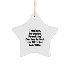 Funny Trucker Star Ornament Gifts for Guys - 'Trucker. Because Freaking' genius Is Not An Official Job Title.' Christmas Unique Gifts from Men - Image 1