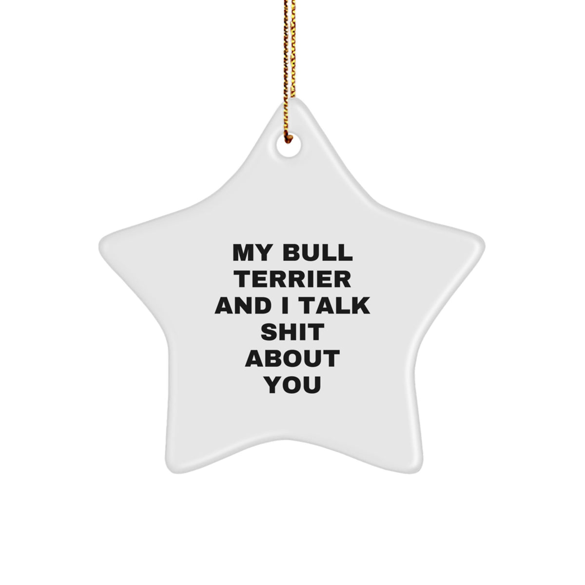 Funny Bull Terrier Dog Gifts from Men to Friends, Unique Star Ornament with My Bull Terrier And I Talk Shit About You Quote for Christmas - Image 1