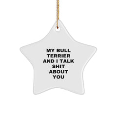 Funny Bull Terrier Dog Gifts from Men to Friends, Unique Star Ornament with My Bull Terrier And I Talk Shit About You Quote for Christmas - Image 1