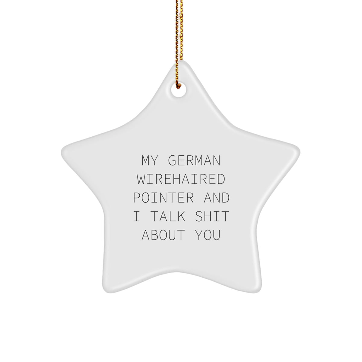 Funny German Wirehaired Pointer Dog Star Ornament Gifts for Men Women Friends Family Christmas Unique Presents from Lover to German Wirehaired Pointer Dog Owner - Image 1