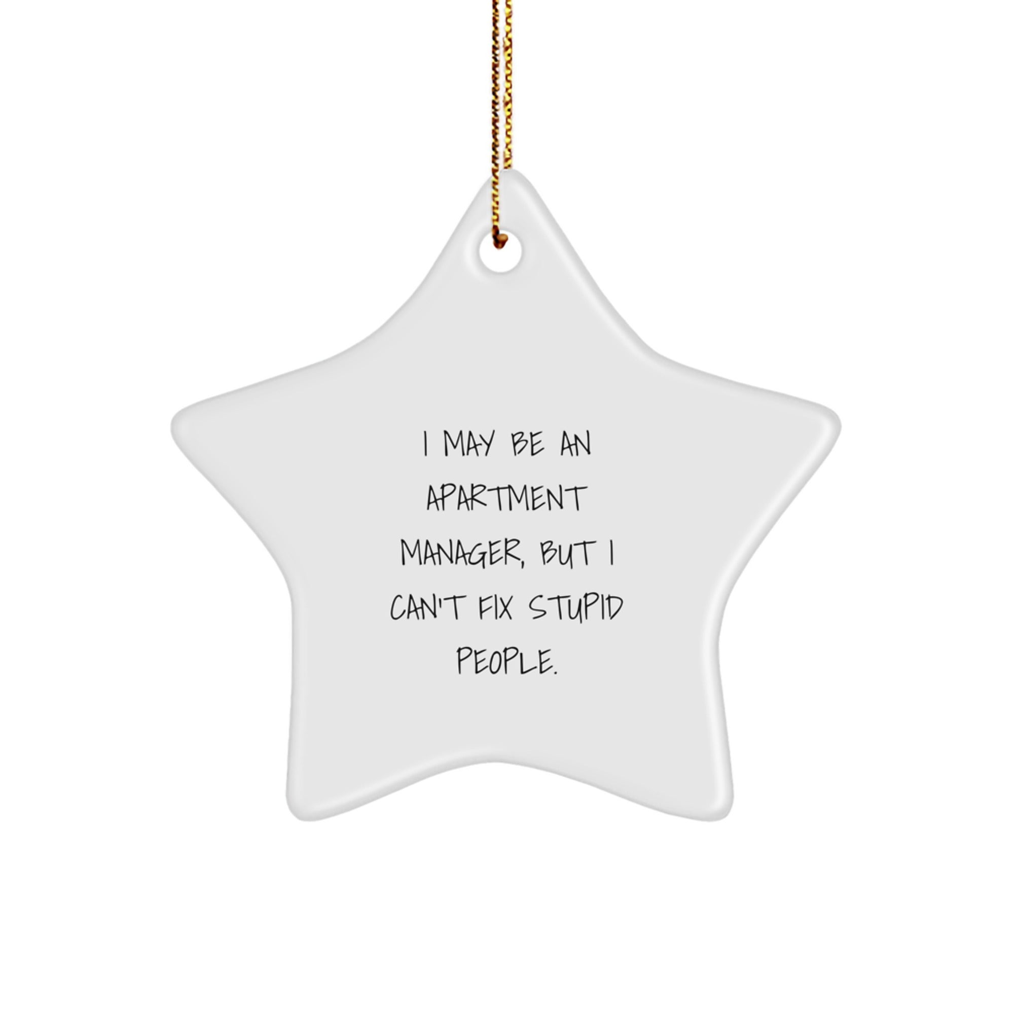 Funny Apartment Manager Gifts for Men, Unique Christmas Star Ornament, I May Be An 'I May Be An Apartment Manager, But I Can't Fix Stupid People.' Inspirational Decoration for Office, Desk, or Wall - Image 1