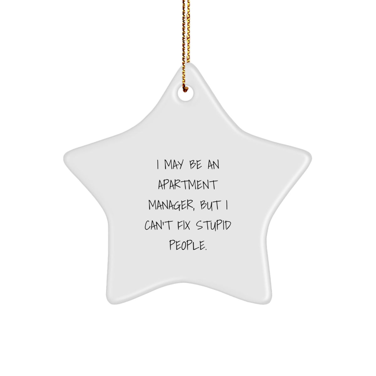 Funny Apartment Manager Gifts for Men, Unique Christmas Star Ornament, I May Be An 'I May Be An Apartment Manager, But I Can't Fix Stupid People.' Inspirational Decoration for Office, Desk, or Wall - Image 1