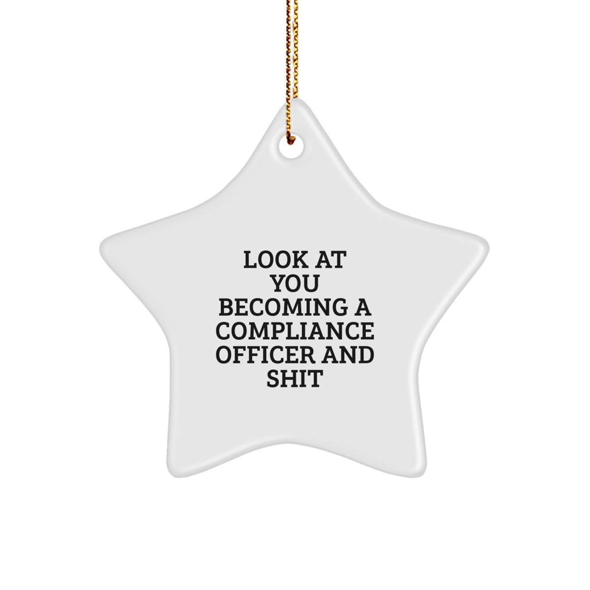 Gifts from Friends to Compliance Officer Funny Star Ornament Christmas Unique Decorations - Image 1