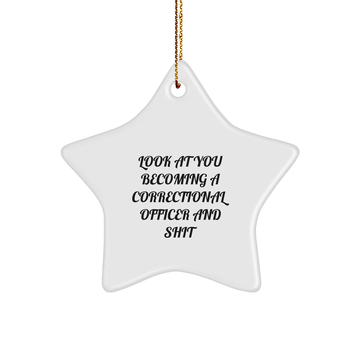 Funny Correctional Officer Gifts for Men, Star Ornament with 'Look At You Becoming A Correctional Officer And Shit', Christmas Unique Gifts from Friends - Image 1