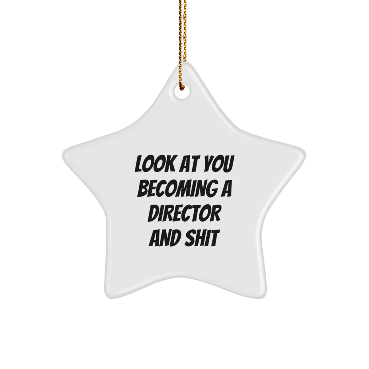 Funny Director Gift, Look At You Becoming A Star Ornament, Christmas Unique Gifts from Family to Director Friends - Image 1