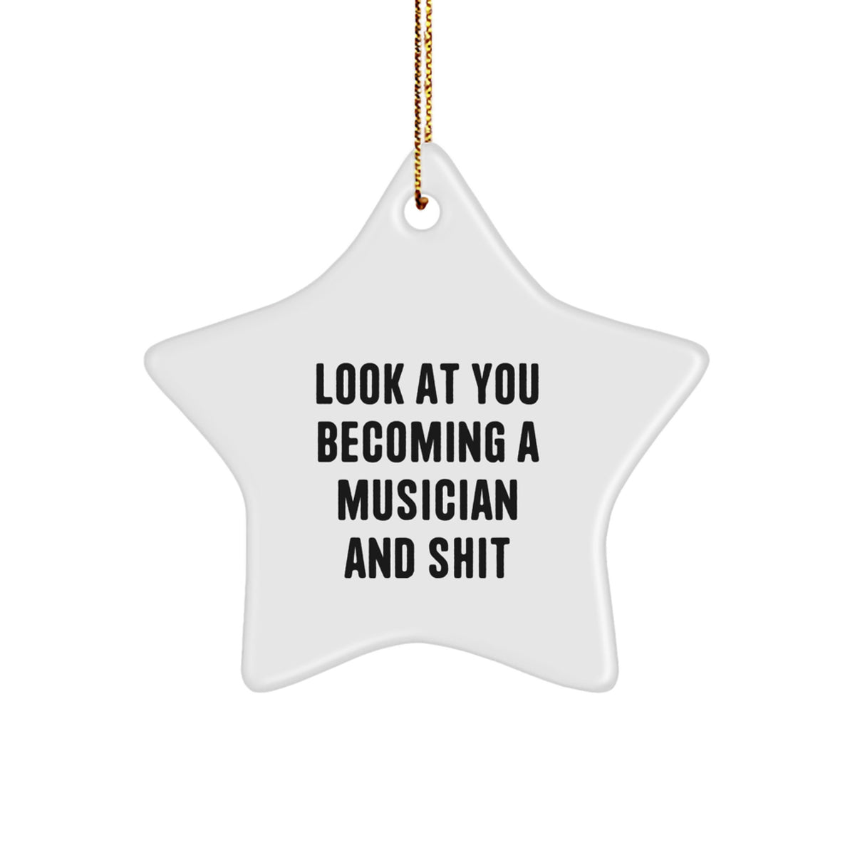 Funny Musician Star Ornament Gifts from Friends for Musician, Unique Christmas Decorations, Inspirational Star Ornament for Musician Room - Image 1