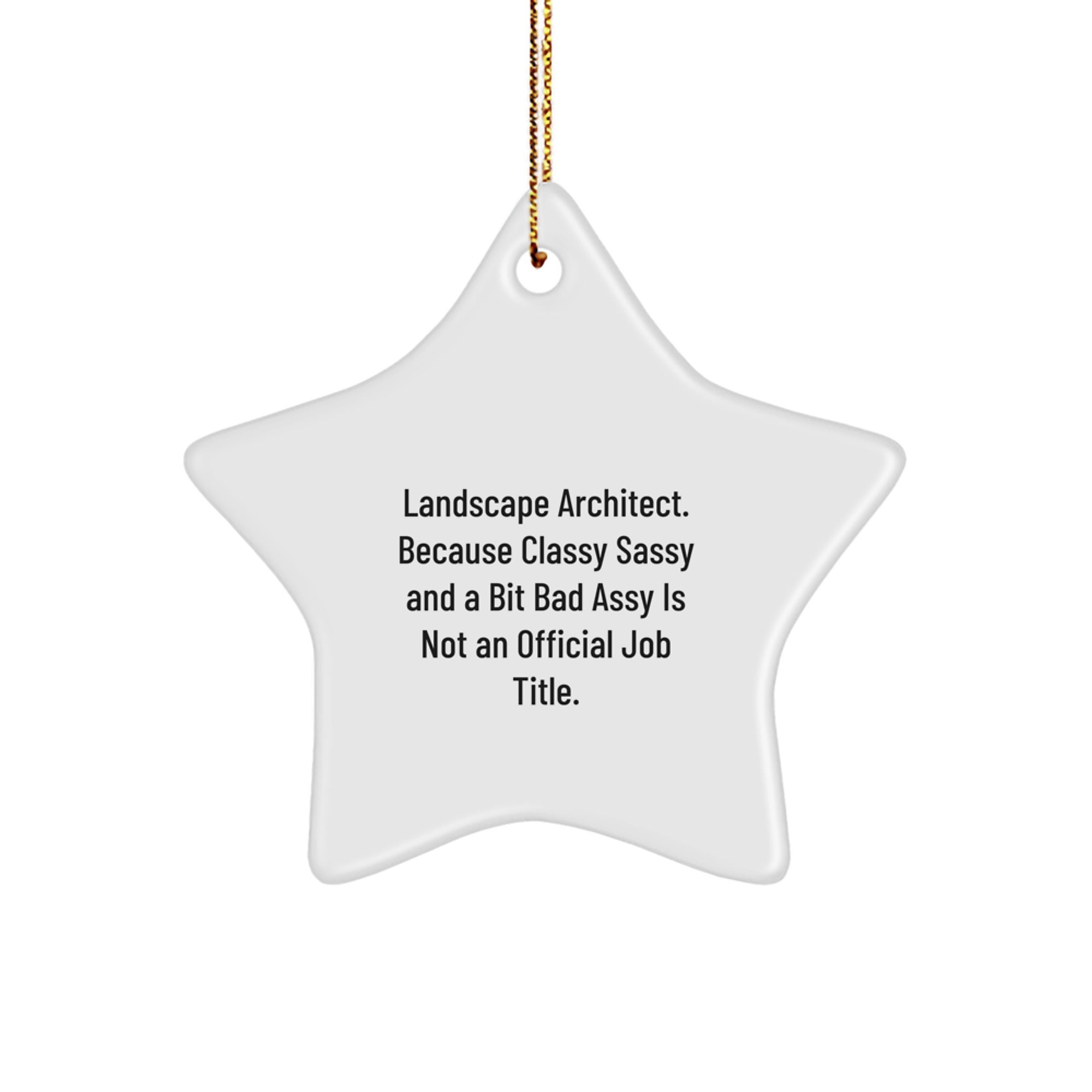 Funny Landscape Architect Star Ornament, Gifts for Men, Women, Friends, Family, from Coworkers, Coworkers Unique Christmas Unique Gifts, Inspirational Home Decor - Image 1