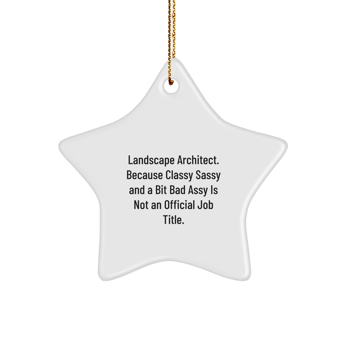 Funny Landscape Architect Star Ornament, Gifts for Men, Women, Friends, Family, from Coworkers, Coworkers Unique Christmas Unique Gifts, Inspirational Home Decor - Image 1