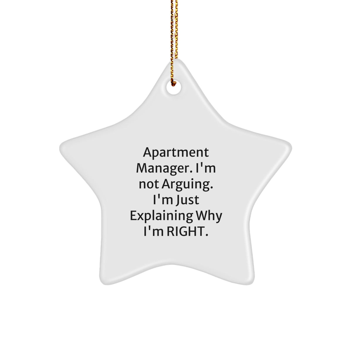 Funny Quotes for Apartment Managers, Christmas Star Ornament, Gifts from Friends, Fun Decorations for Apartment Manager, Apartment Manager Gifts with Humor - Image 1