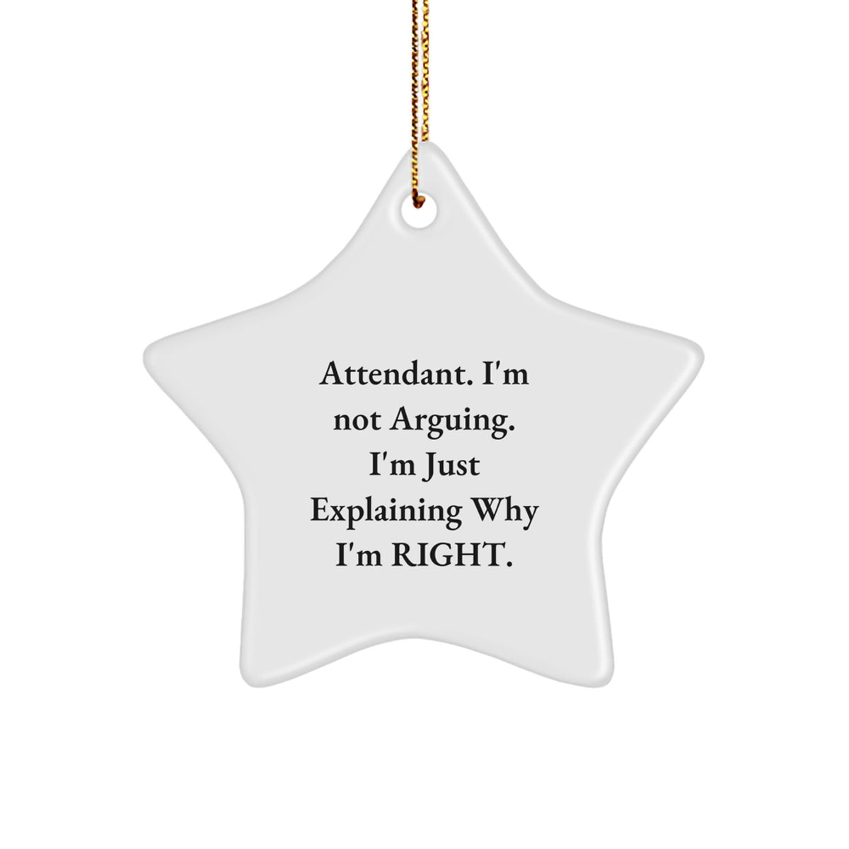 Funny Attendant Gifts from Men for Christmas Unique Star Ornament, Explaining Why I'm Right, Attendant Star Ornament for Christmas Unique Gifts - Image 1