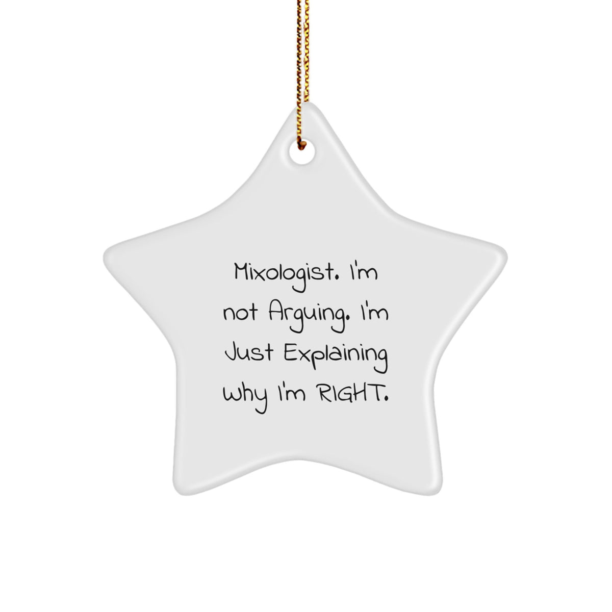 Funny Mixologist Star Ornament Gifts from Friends, Unique Christmas Unique Gifts for Him, Her, or Bar, 'I'm Not Arguing, I'm Just Explaining Why I'm Right' Star Decor - Image 1