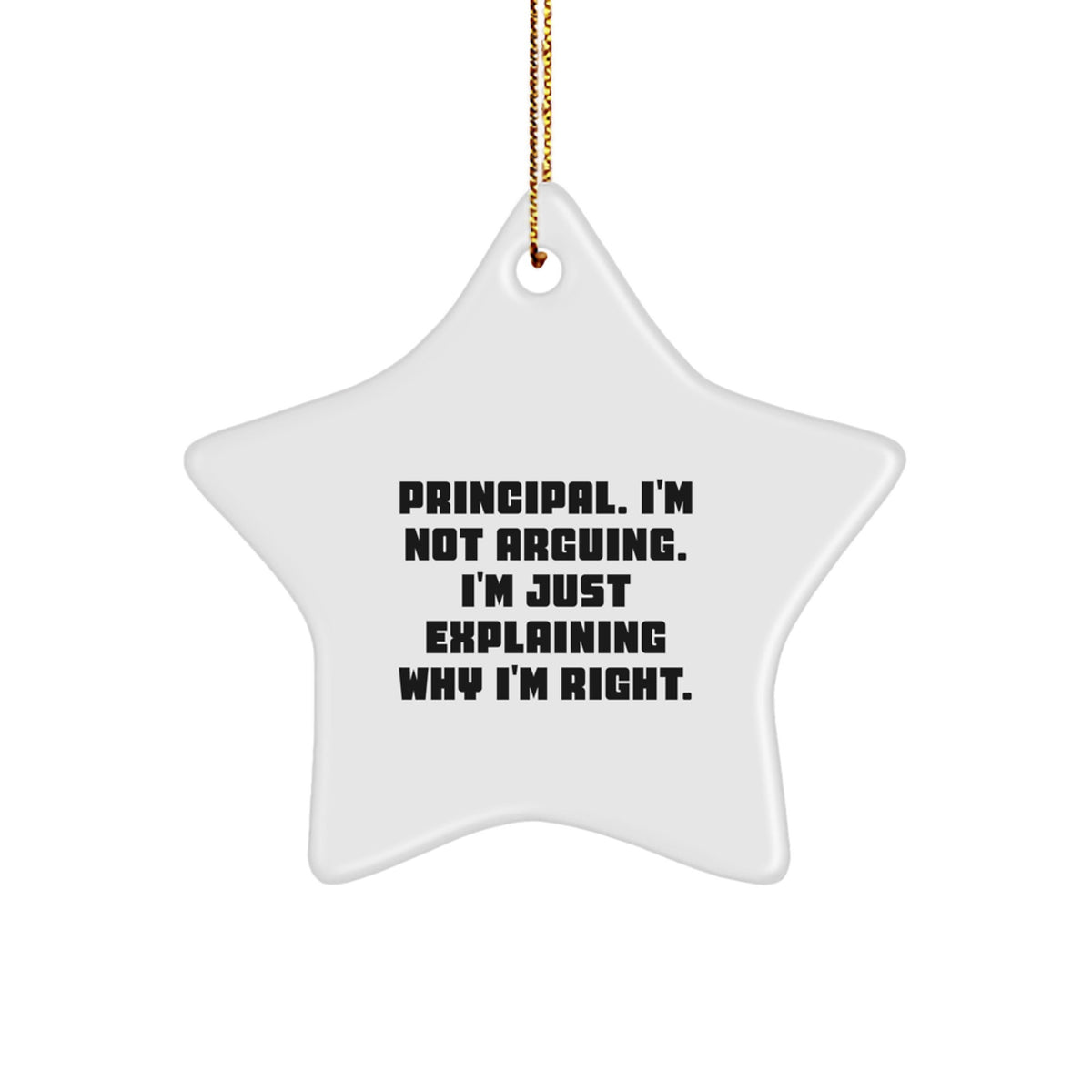 Funny Principal Gifts from Friends - Principal I'm Not Arguing Star Ornament, Christmas Unique Gifts for Principal Men - Image 1