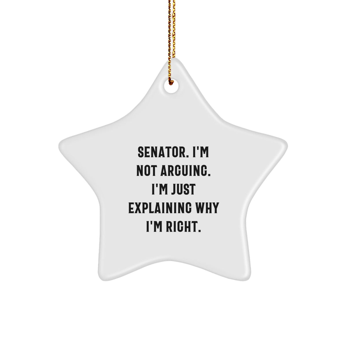 Senator Funny Gifts from Friends for Senator - Star Ornament with 'I'm Not Arguing I'm Just Explaining Why I'm Right' - Unique Christmas Unique Gifts for Senator - Image 1