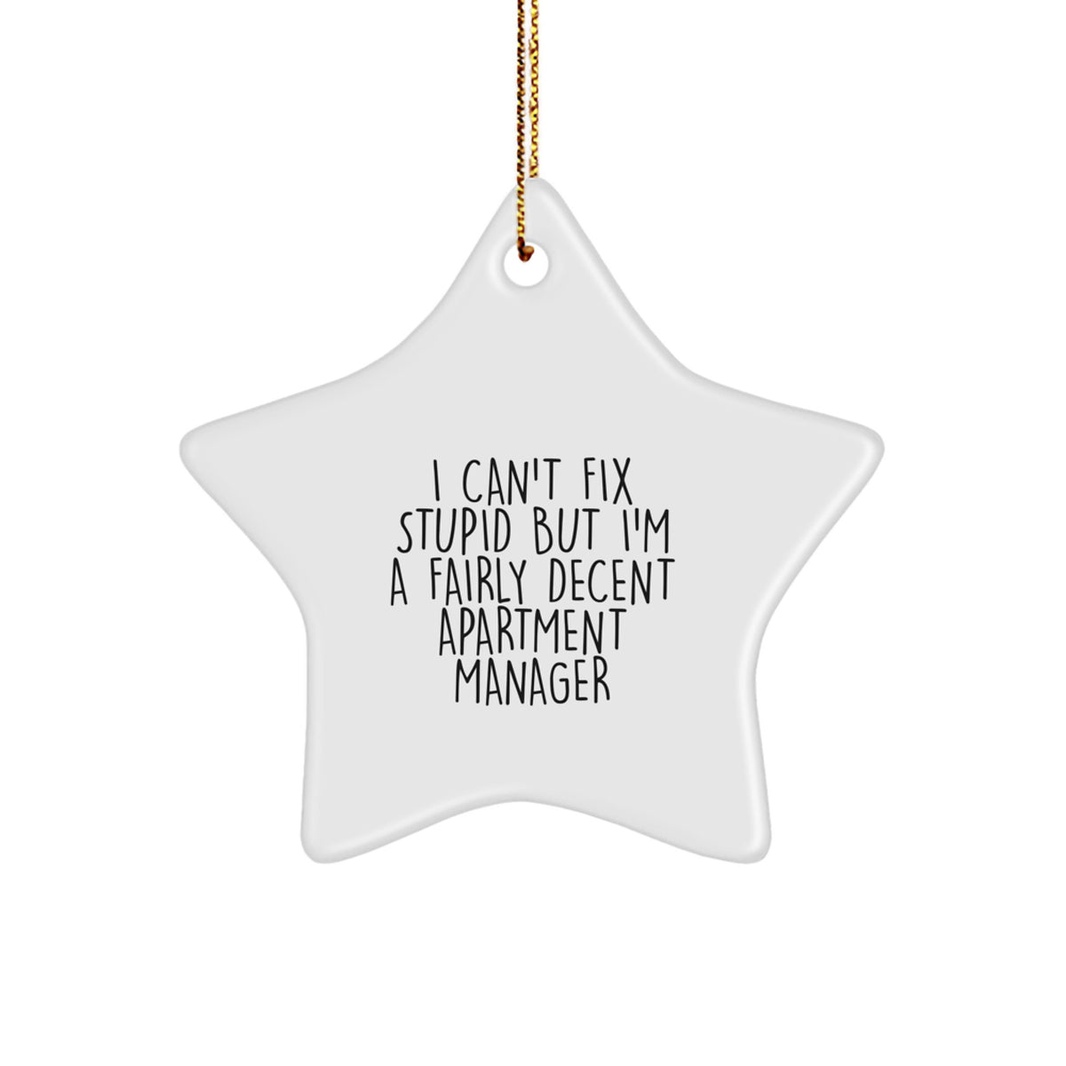 Funny Apartment Manager Gifts - 'I Can't Fix Stupid But I'm A Fairly Decent' Star Ornament for Men, Women, Coworkers, Family, Friends - Christmas Unique Gifts - Image 1