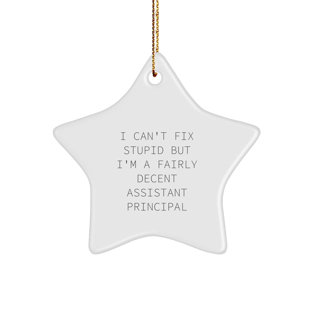 Funny Assistant Principal Gifts for Men - I Can't Fix Stupid Star Ornament - Christmas Unique Gifts from Friends - Image 1