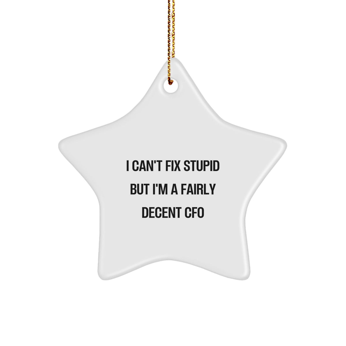 Funny CFO Gifts from Friends and Family, Christmas Unique Gifts for Men Women, 'I Can't Fix Stupid But I'm A Fairly Decent Cfo' Star Ornament - Image 1