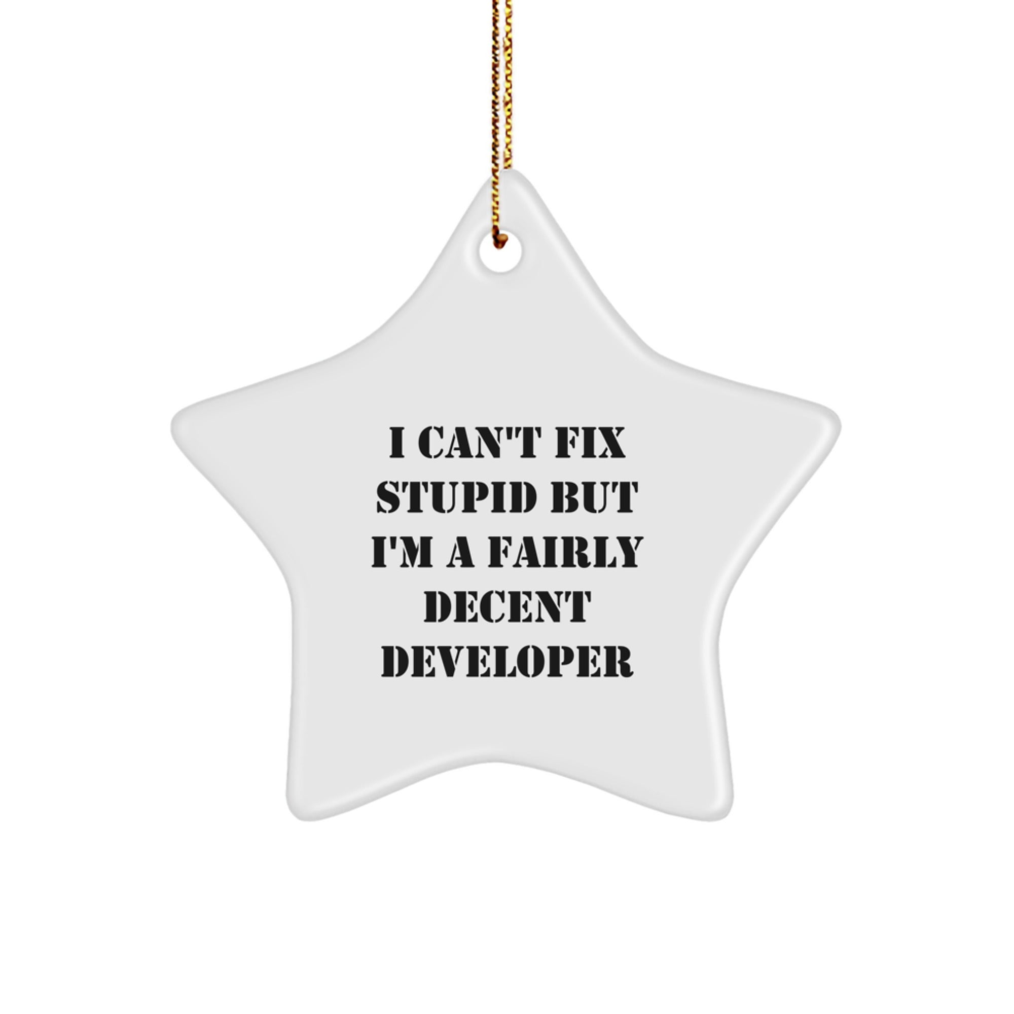 Funny Developer Gifts for Men from I Can't Fix Stupid But I'm A Fairly Decent Developer Star Ornament for Christmas - Image 1