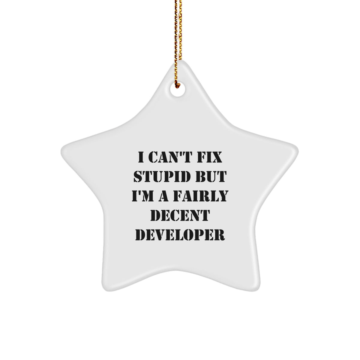 Funny Developer Gifts for Men from I Can't Fix Stupid But I'm A Fairly Decent Developer Star Ornament for Christmas - Image 1