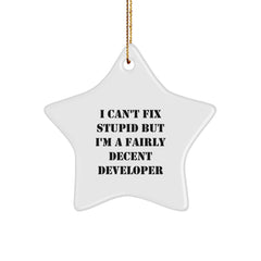 Funny Developer Gifts for Men from I Can't Fix Stupid But I'm A Fairly Decent Developer Star Ornament for Christmas - Image 1