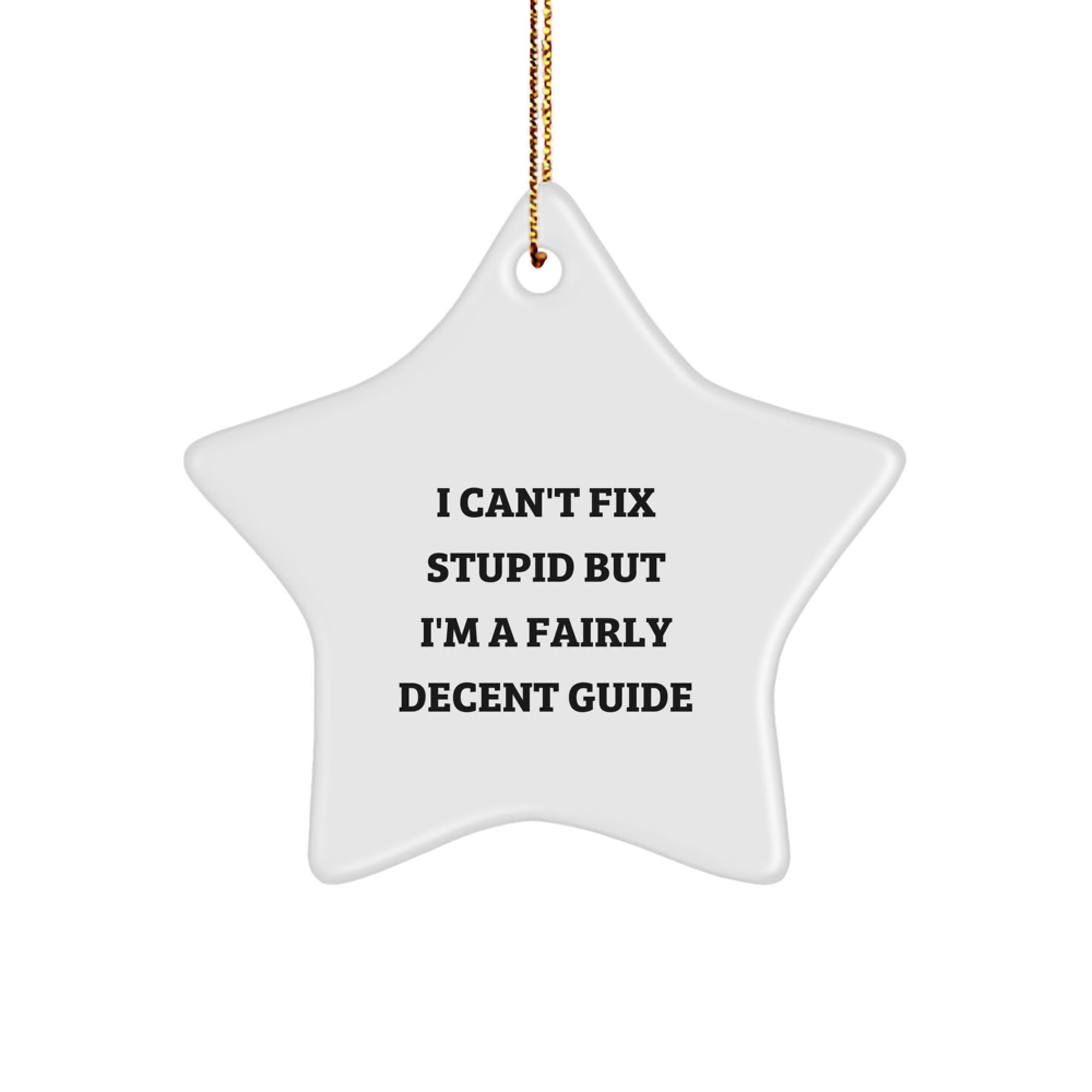 Funny Guide Gifts from Friends, Unique Star Ornament for Guide Enthusiasts, Christmas Unique Gifts, Gifts for Guide, A Fairly Decent Pick - Image 1